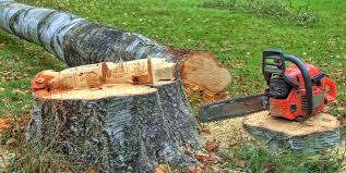 Best Emergency Tree Removal  in Flower Hill, MD