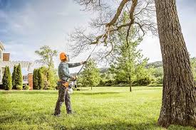 Best Lawn Irrigation Installation and Maintenance  in Flower Hill, MD