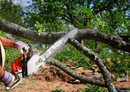 Best Arborist Consultation Services  in Flower Hill, MD