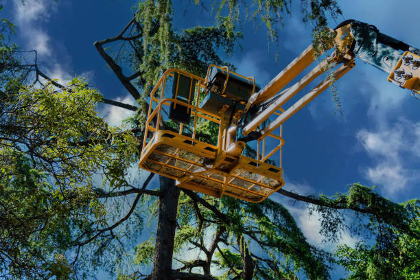 Best Aeration Services  in Flower Hill, MD