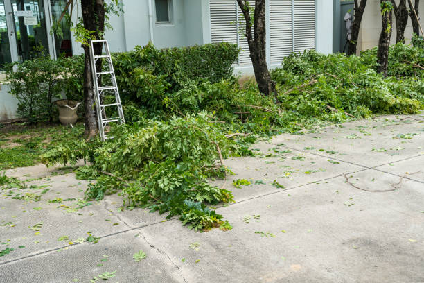 Best Tree Preservation Services  in Flower Hill, MD