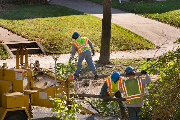 Flower Hill, MD Tree Removal Company
