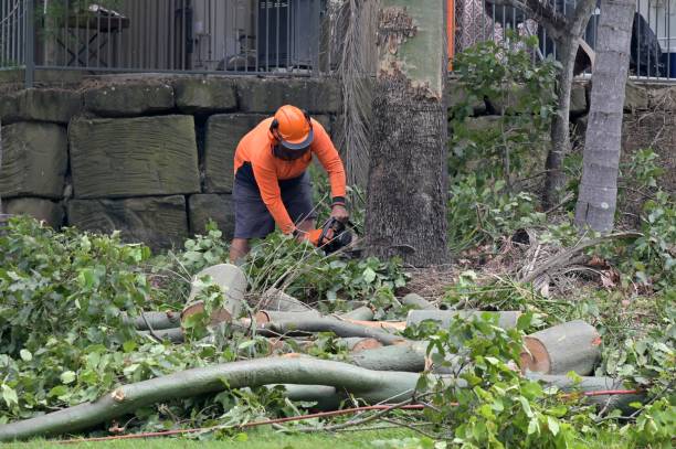 Best Commercial Tree Services  in Flower Hill, MD